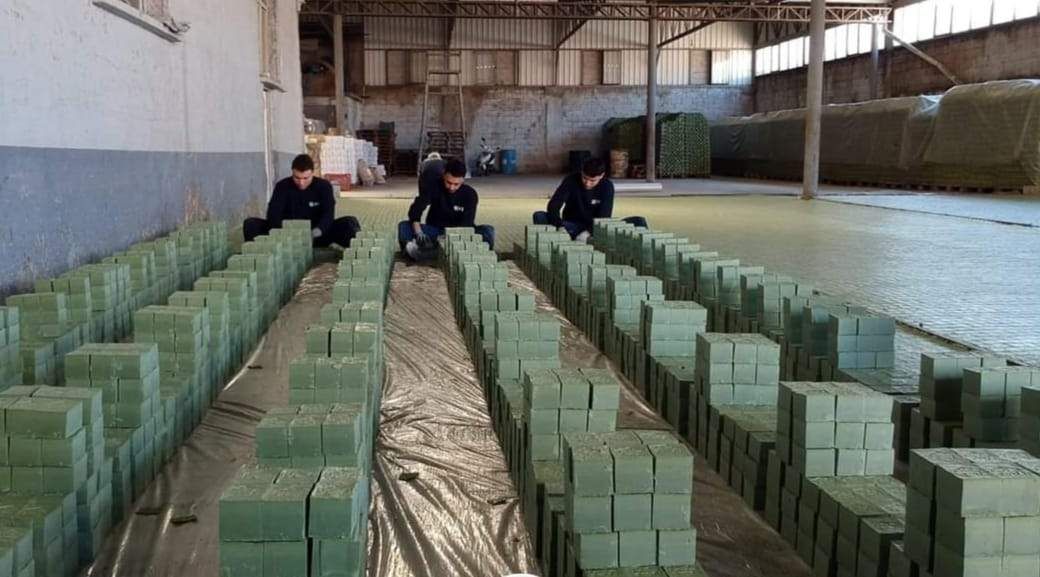 Rows of laurel soap bars lined up on the workshop floor